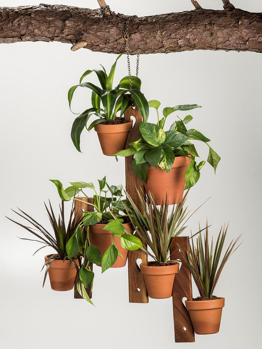 6-Pot Acacia Wood Hanging Plant Holder 3-Piece Set for Indoor Outdoor