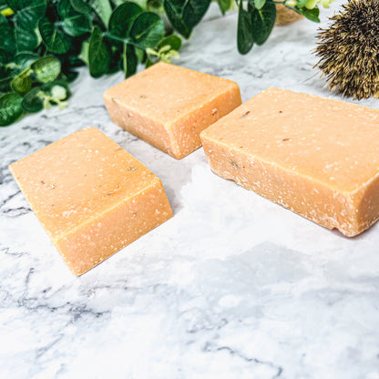 Peach Tea Exfoliating Body Scrub Soap - Sea Salt Oatmeal Sweet Citrus Scent