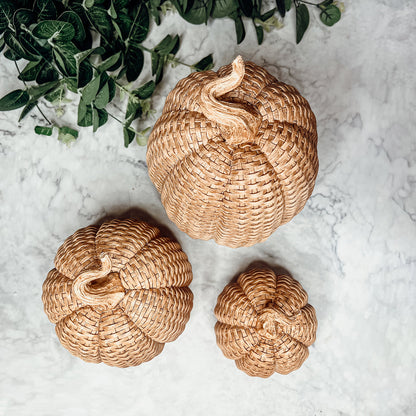 Rattan Resin Pumpkins Fall Decor - Set Or Single, 3 Sizes, Honey Cognac