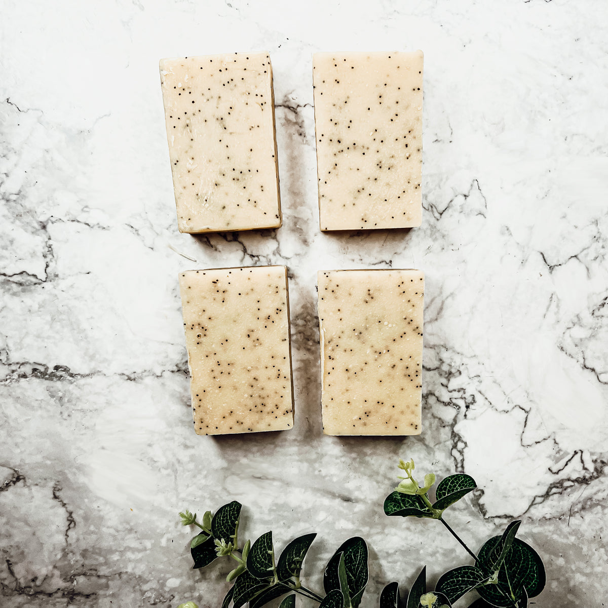 Poppy Seed Exfoliant Soap Olive Sunflower Oil Citrus Tropical Scent Handmade