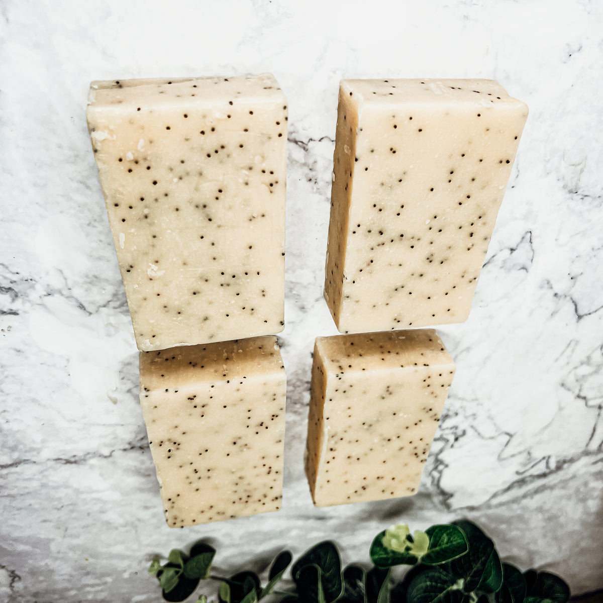 Poppy Seed Exfoliant Soap Olive Sunflower Oil Citrus Tropical Scent Handmade