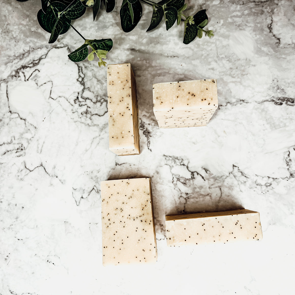 Poppy Seed Exfoliant Soap Olive Sunflower Oil Citrus Tropical Scent Handmade