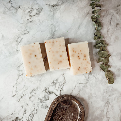 Tea Tree Mint Exfoliating Soap Bar With Peppermint Leaves Shea Butter Natural Oils Refreshing