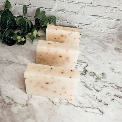 Tea Tree Mint Exfoliating Soap Bar With Peppermint Leaves Shea Butter Natural Oils Refreshing