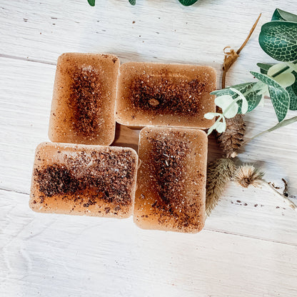 Snickerdoodle XL Wax Melts - 4 Large Cinnamon Sugar and Nutmeg Cubes