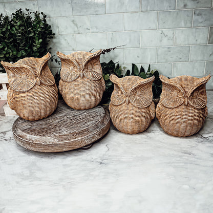 Basket Weave Owl Figurine Resin Rustic Owl Bookend Tabletop Accent Home Decor