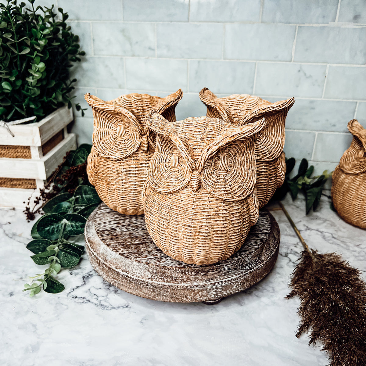 Basket Weave Owl Figurine Resin Rustic Owl Bookend Tabletop Accent Home Decor