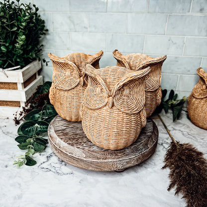Basket Weave Owl Figurine Resin Rustic Owl Bookend Tabletop Accent Home Decor