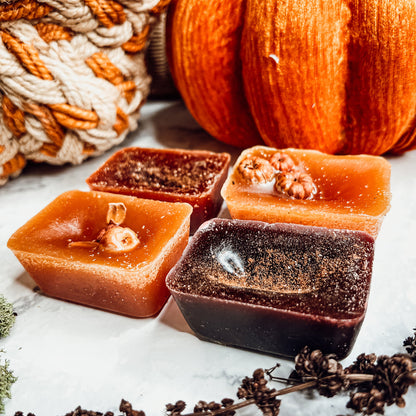 Fall Harvest Natural XL Wax Melts Pack Pumpkin Cranberry Clove Cozy Autumn Scented 4 Extra Large Cubes