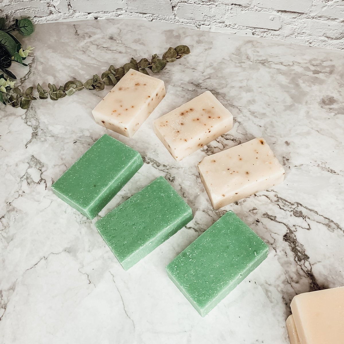 Aloe Eucalyptus Soothing Soap Bar Aloe Vera After-Sun Relief Natural Eucalyptus