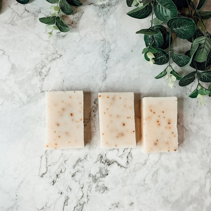 Aloe Eucalyptus Soothing Soap Bar Aloe Vera After-Sun Relief Natural Eucalyptus