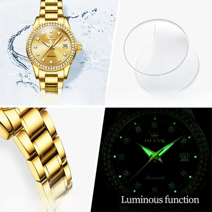 Women's Automatic Mechanical Diamond Dial Stainless Watch
