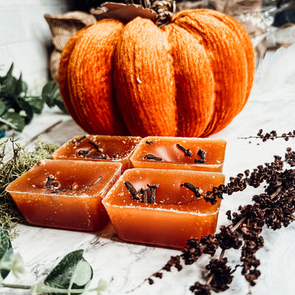 Fall Clove XL Natural Wax Melts 4 Cubes Spicy Cinnamon Clove Autumn Scent