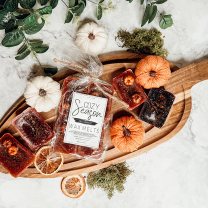 Fall Harvest Natural XL Wax Melts Pack Pumpkin Cranberry Clove Cozy Autumn Scented 4 Extra Large Cubes