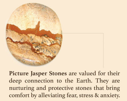 Malachite Chrysocolla Picture Jasper Stretch Bracelet