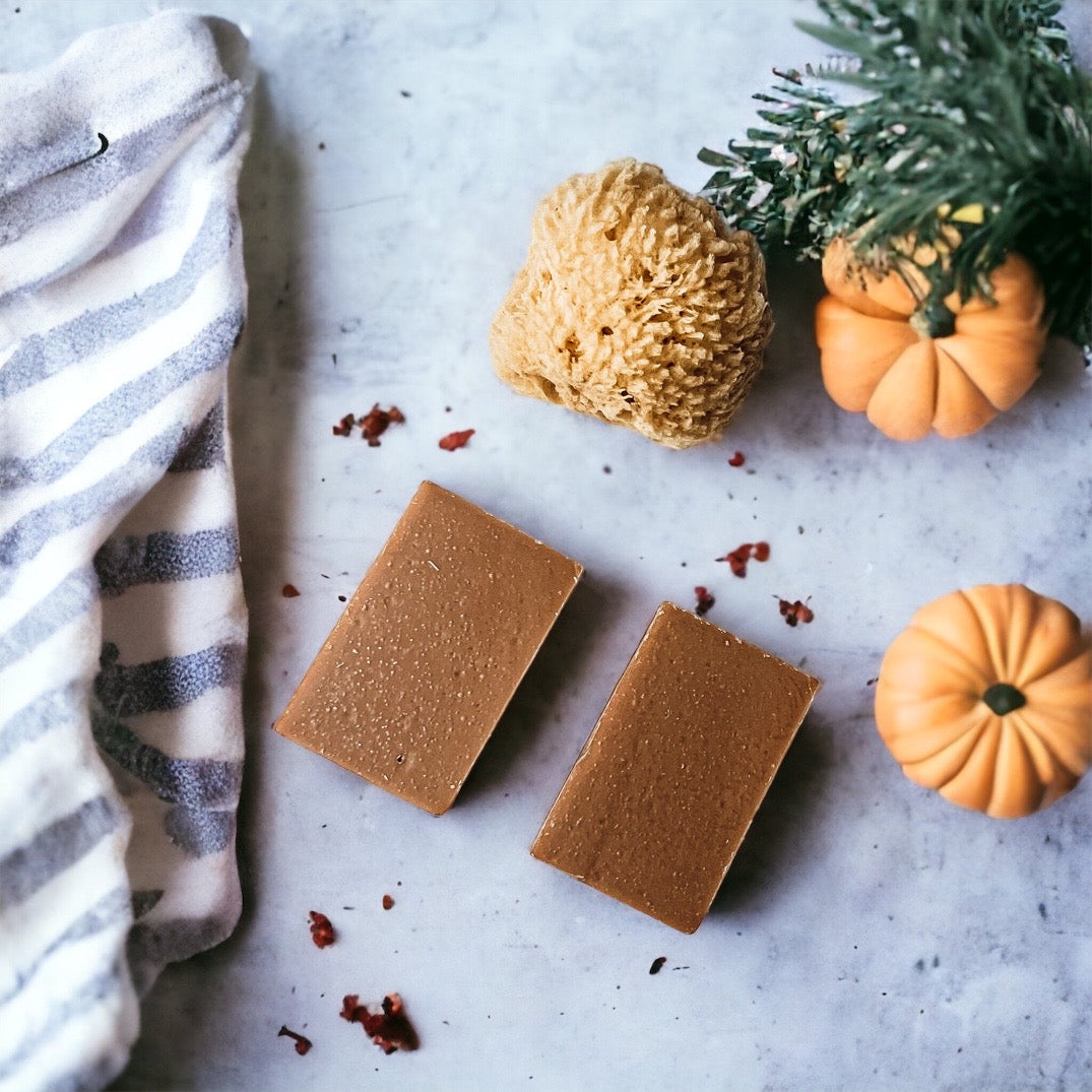 Pumpkin Spice Soap Bar Handmade Organic Shea Butter Cold Process 4.5oz