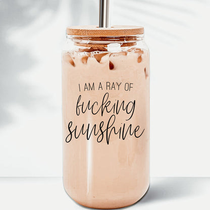 17oz Glass Tumbler With Bamboo Lid, 2 Stainless Straws and Cleaner, Sassy